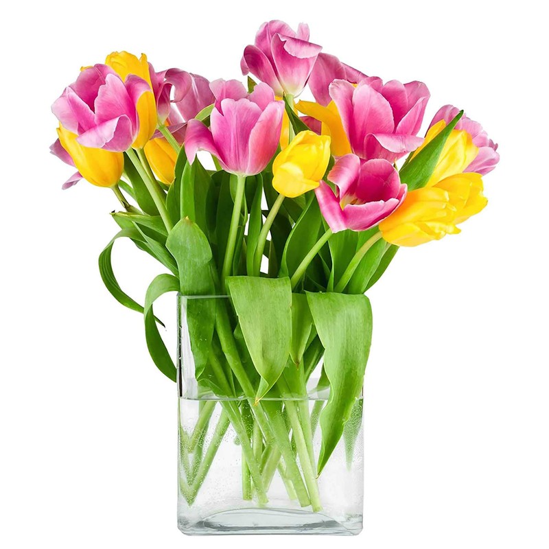 CYS EXCEL Glass Book Vase (H:10" Open:7"x2") Round Edge Oval