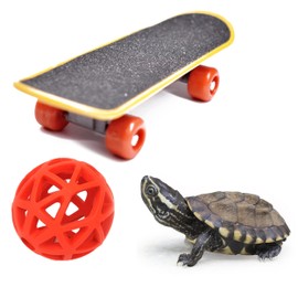 PurrrfectionPet Tortoise Treat Ball and Training Skateboard Toy Set, Turtle Feeder Ball and Funny Skateboard, Tortoise Toy Feeding Balls Vegetable Grass for Small Animals Pets (Red)