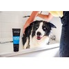Animology Hair of the Dog Detangling Dog Shampoo 250ml