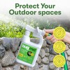 BugMD Mosquito Amigo Ant Killer & Bug Spray - Outdoor