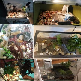 Hamiledyi 2 Pcs Aquarium Filter Media 12 in 1 Bio Balls Ceramic Rings Fish Tank Pond Biofilter Filter Media 1000 Grams with Mesh Bag