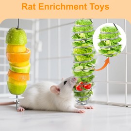 2pcs Rat Enrichment Foraging Toys, 304 Stainless Steel Pet Rats Fruit Vegetable Holder, Hanging Slow Feeder Mice Feeder, Fancy Mice Cage Accessories Puzzle Toy for Hamster Rodents Bird Parakeet
