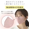 【マスク工業会正会員】3D 冷感マスク 不織布マスク ひんやり 夏 マスク 涼しい 接触冷感 冷感不織布 使い捨て