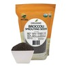 McCabe Organic Broccoli Sprouting Seeds for Microgreens - Organic Broccoli