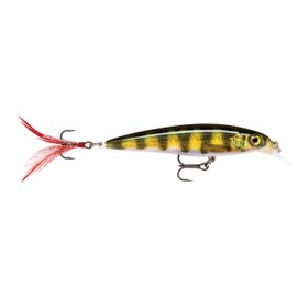 Rapala X-Rap 10 Live Perch