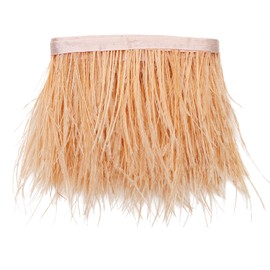 HaiMay 3 Yards Champagn Ostrich Feathers Fringe Trim Sewing Feather Trim Ribbon for Craft Clothes Accessories Latin Wedding Dress Home Party Costumes Decoration, 4-6 Inch Width
