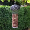 Bonningtons Acorn Wild Bird Nut Feeder