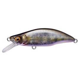 Mega Bass GH51 Humpback (Great Hunting 51 Humpback) (FS) Takumi Sake Fry