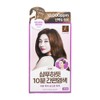 Easy dyeing like elastin shampoo, natural brown, 4-use / 엘라스틴 샴푸하듯 간편염색 자연갈색 4회용