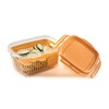 Snips Veggie SnipsLock 1.2 LT Rectangular Food Container with Removable