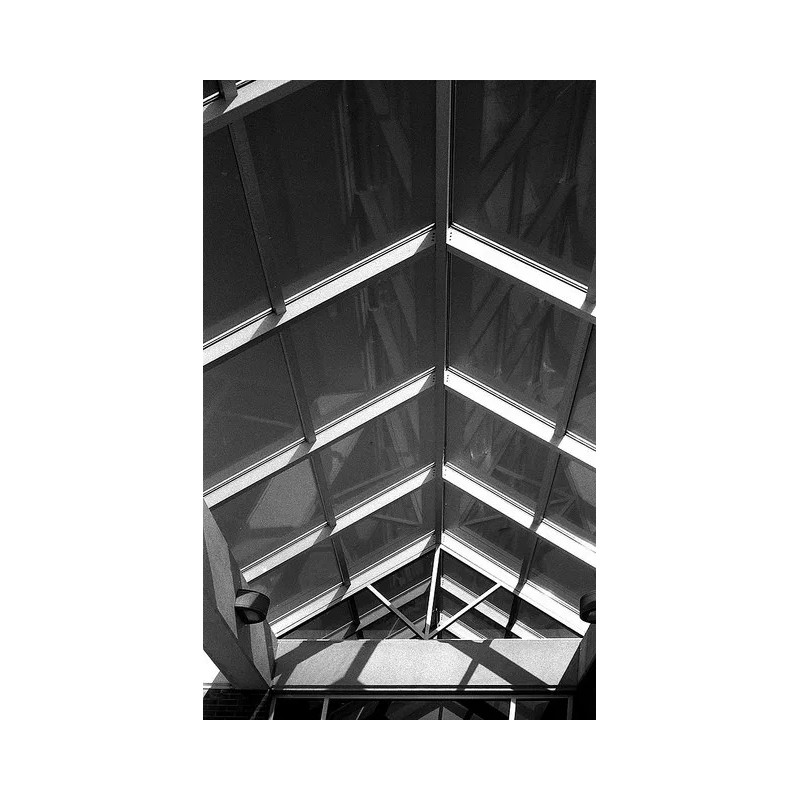 FPP Svema Foto 100 BW 35mm Film (1 Roll -