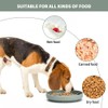 Silicone Slow Feeder Dog Bowls,Puzzle Dog Feeding Bowls with Suction