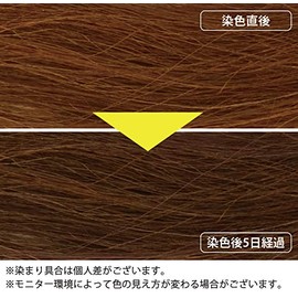 Henna Fountain 3.5 oz (100 g), Light Brown Henna Color Powder, Ecocert Certified Ingredient, Organic Henna, Natural Gray Hair Dye