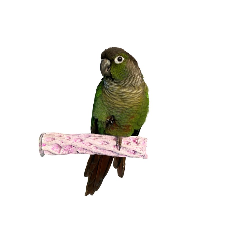 Tooty Fruity Bee Pollen Small Grape