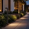 Solar Pathway Lights for Outdoor Landscaping – Waterproof LED Garden