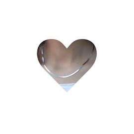 Allereya Punk Snake Chain Necklace Silver Herringbone Necklace Vintage Flat Chain Necklace Flexible Snake Bone Necklace Chain Jewelry for Women and Girls (Silver)