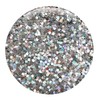 GLITTIES - (6PK) - Amazing Variety Of Holographic Silver Glitter!