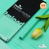 PMLAND Mint Green Tissue Paper 26 x 20 Inches –