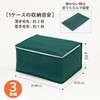 Astro 618-66 Storage Case for Blankets, Set of 3, Green,