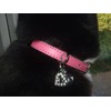 Leather cat collar red,blue,brown,pink,purple,black, safety elastic,diamante heart charm (Red)