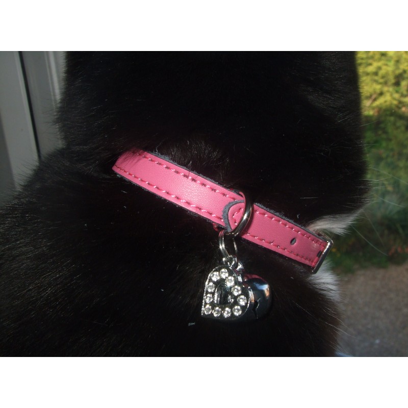Leather cat collar red,blue,brown,pink,purple,black, safety elastic,diamante heart charm (Red)