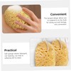 Esponja exfoliante corporal PHENOFICE – 2 piezas de celda de