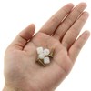 DGZZI 20PCS 4x8.8mm Plastic Nut Furniture Fitting Inserts Hinge Cores