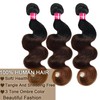 Teveshine 1B/2/4 Ombré Body Wave Human Hair Bundles With Closure