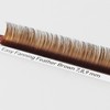 BL Lash Easy Fanning Feather Brown Lash Extension Eyelashes B