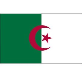 US Flag Store Algeria 3ft x 5ft Printed Polyester Flag by Online Stores Inc.