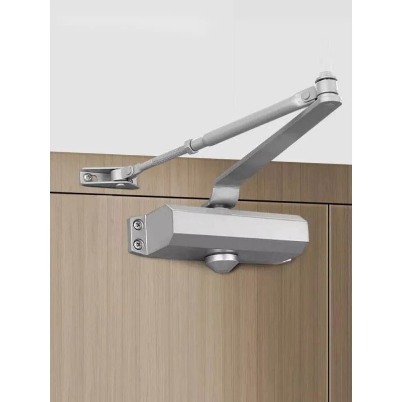 BALU Cierra Puertas Hidráulico Aluminio Plateada De 45-85kg