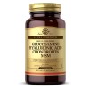 Solgar Glucosamine Hyaluronic Acid Chondroitin MSM Shellfish-Free 120 Tablets