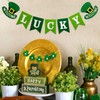St. Patrick’s Day Banner St Patricks Day Garland with Lucky