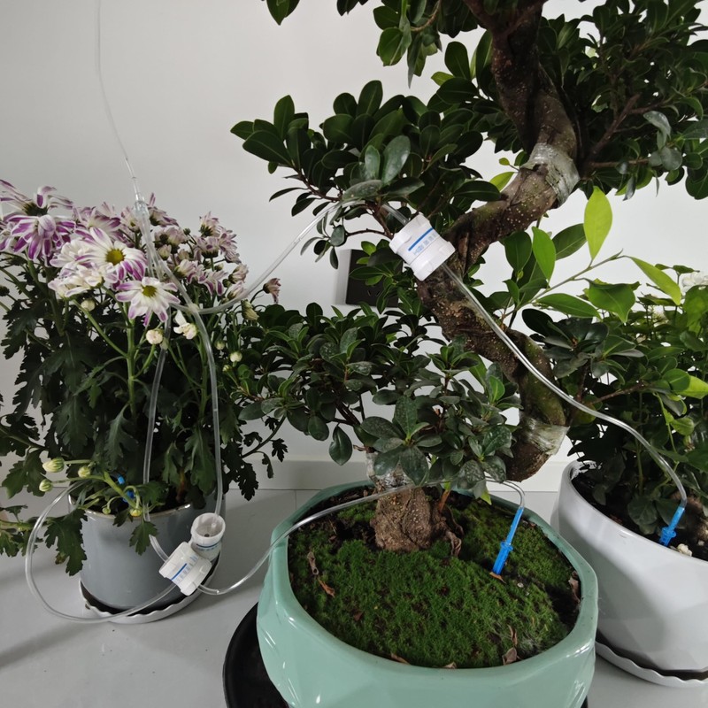 Luimode Automatic Watering System, Plants, Automatic Water Supply, Water Supply