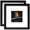 Black 8x8 Picture Frames Set of 2 Display Pictures 4x4