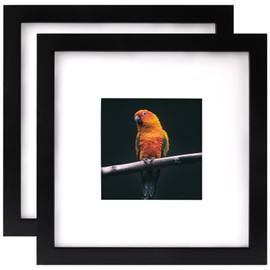 Black 8x8 Picture Frames Set of 2 Display Pictures 4x4 with Mat or 8x8 without Mat for Wall and Tabletop Photo Frame