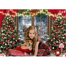 Dudaacvt 7x5ft Christmas Backdrop Christmas Window Backdrop for Photography Xmas New Year Merry Background Christmas Family Holiday Party Banner D682