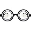 LR Supplies Black Nerd Glasses Round Thick Geek Fancy Dress