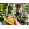 searigs Carp Hut Pop-Up Sweetcorn Bait, 12mm x 8mm, Yellow,