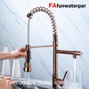 Kitchen faucet with pull-down spray, single handle double outlet commercial