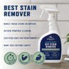 Rocco & Roxie Oxy Stain Remover - Oxygen Powered Carpet