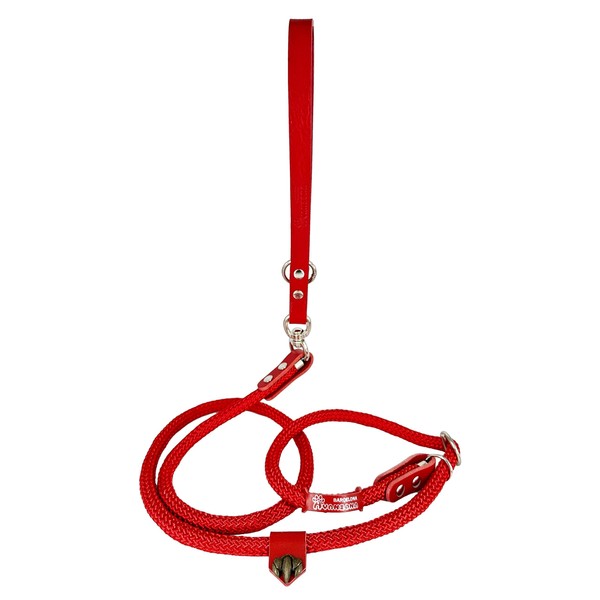 Anti Pulling Dog Lead with Martingale Collar and Leather Handle.