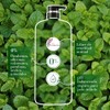 Herbal Essences Shampoo Detox Té verde & menta 600 ml