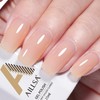 AILLSA Nude Gel Polish Natural Color Jelly Gel Nail Polish