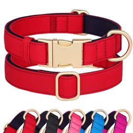 Didog Nylon Dog Collar, Soft Padded, Durable Dog Collar with Quick Release Metal Buckle, Lightweight and Breathable Dog Collar for Large, Medium, Red, M