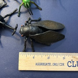 Unbranded Vintage Toy Insects Bug Lot Of 12 Centipede Praying Mantis Bugs Insect