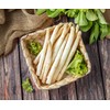Seeds4planting - Seeds White Asparagus Non GMO Heirloom for Planting