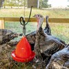 Premier 1 Suspended Dome Drinker for Chickens, Ducks, Geese &
