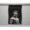 Damdeko;i Motivational Gym Flag Spartan Wall Art for Home or