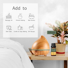 AROPERIMA Cinnamon Fragrance Oil, Premium Grade Scented Oil for Aroma Diffusers, Perfume, Candle and Soap Making - 10ml